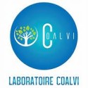 COALVI